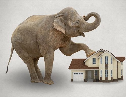 The Single Best Tool for Downsizing in Retirement: It’s Called HECM For Purchase